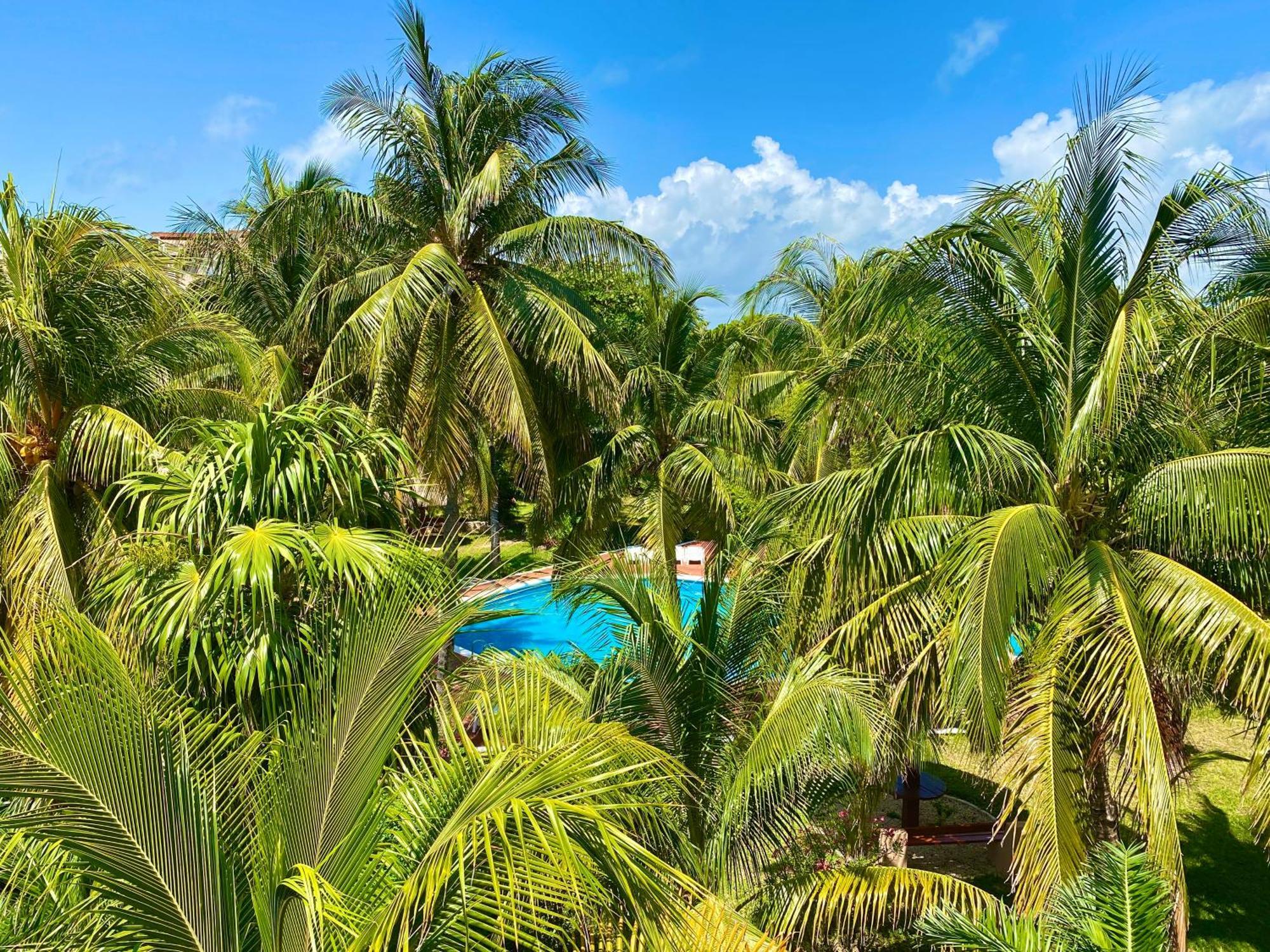 Apartamento Tropical By Andiani
