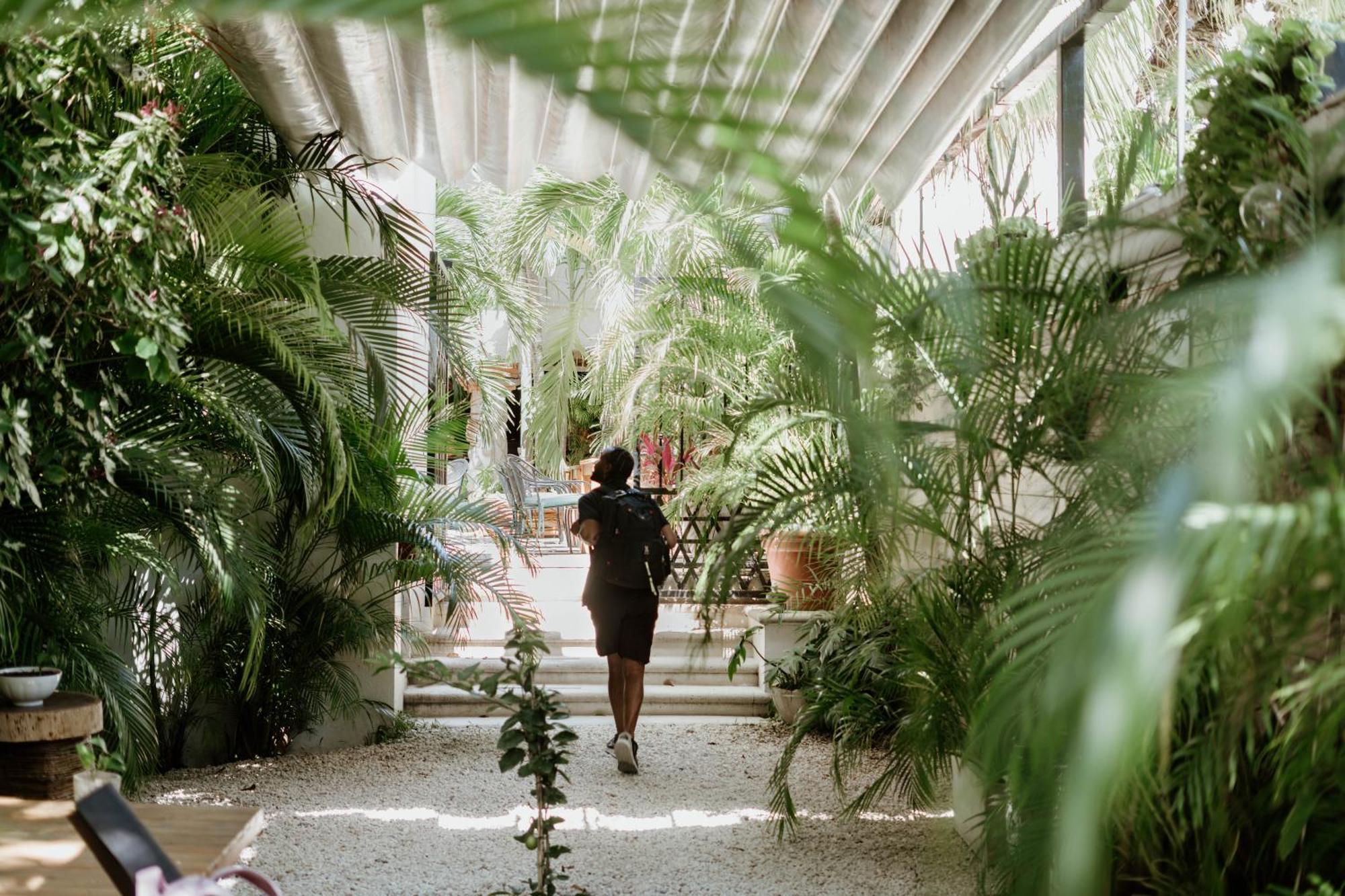Enigmatic Experience Cancún
