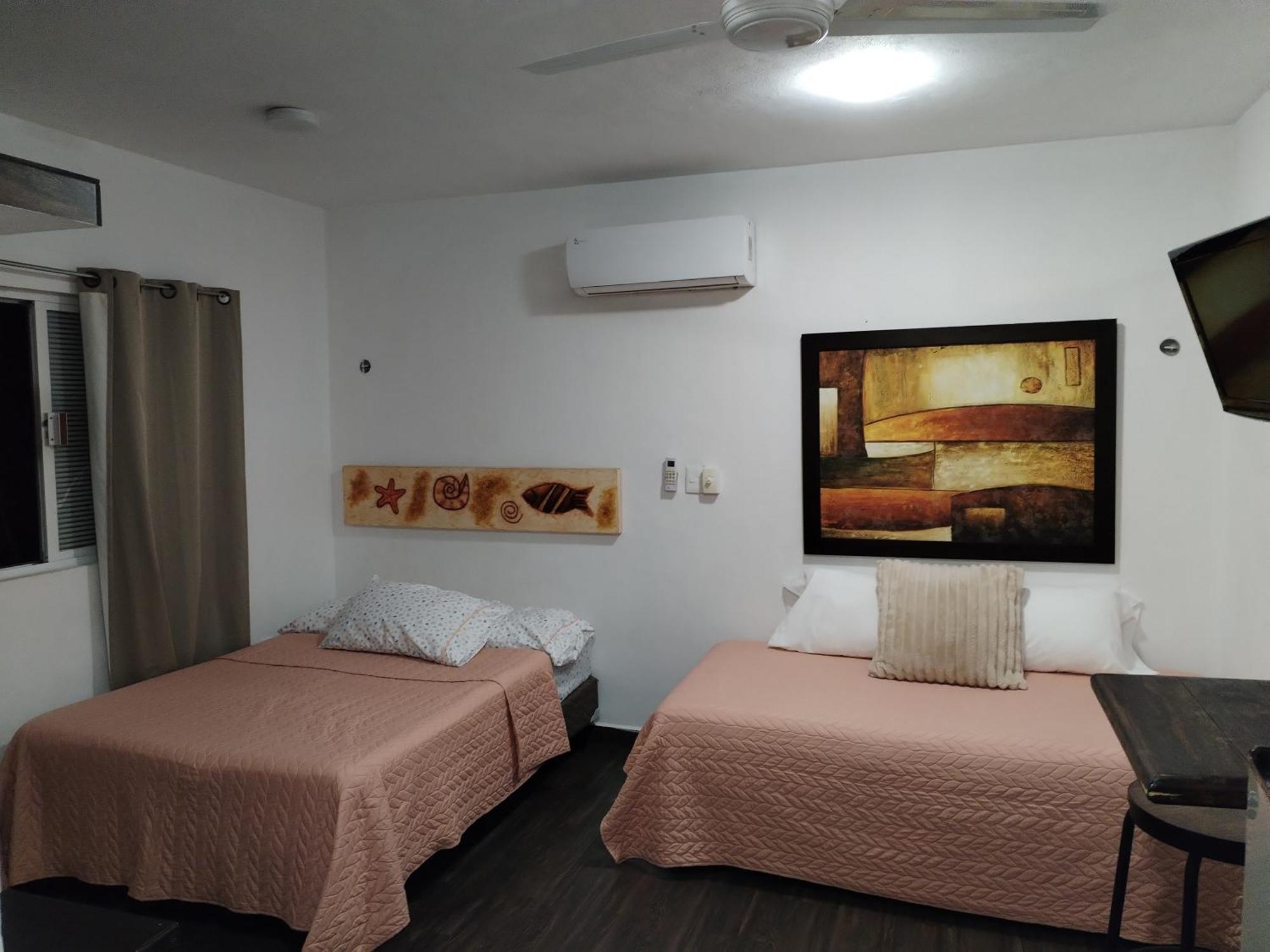 Apartamento Estudio Zona Centro Cerca De La Terminal Ado *
