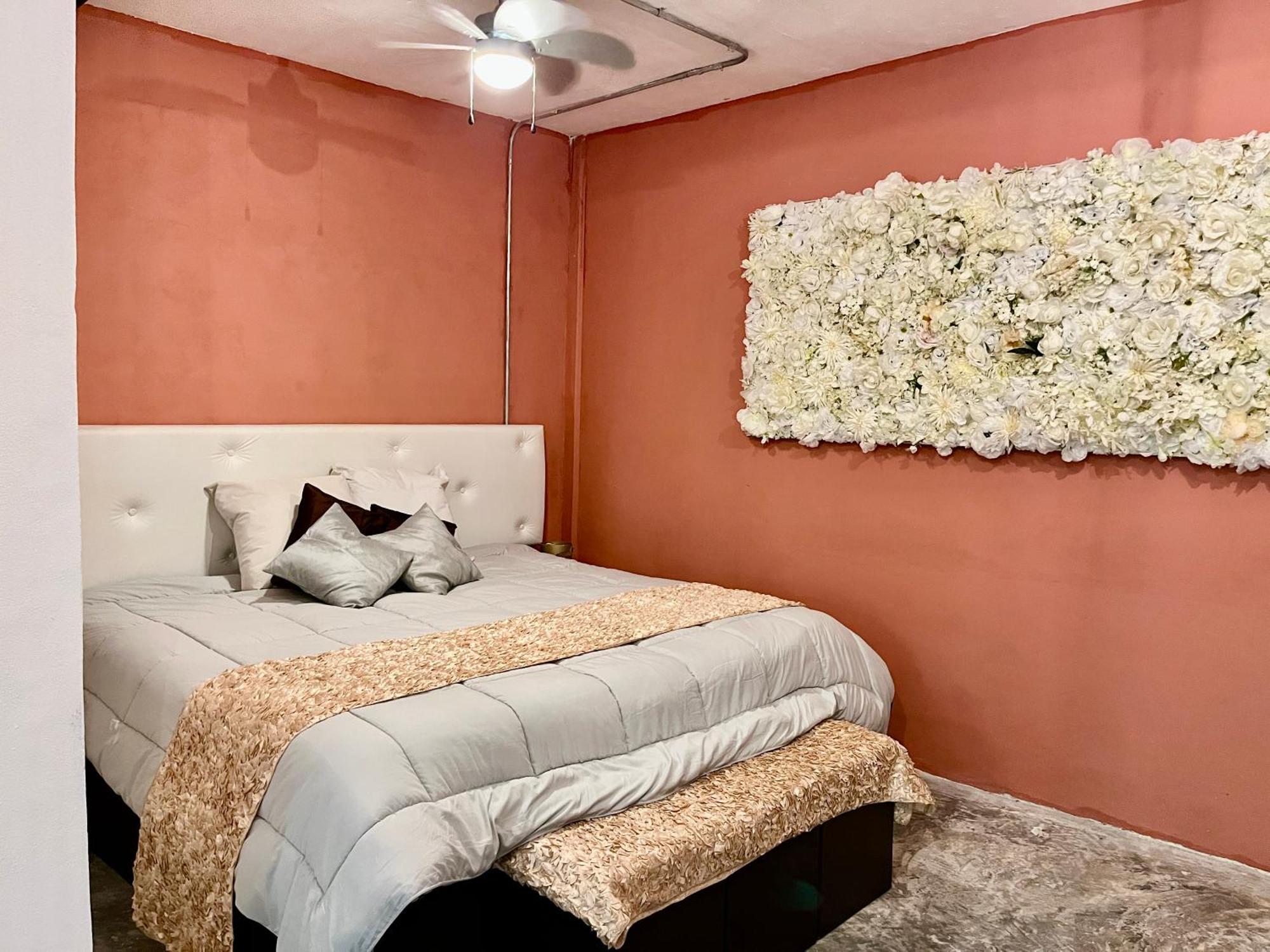 Apartamento Urban Jungle Collection