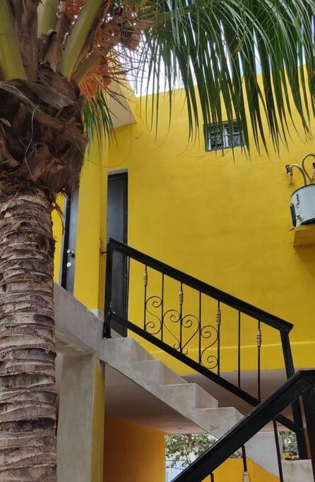Departamento Rosi Cerca De Juzgado Familiar Apartamento *