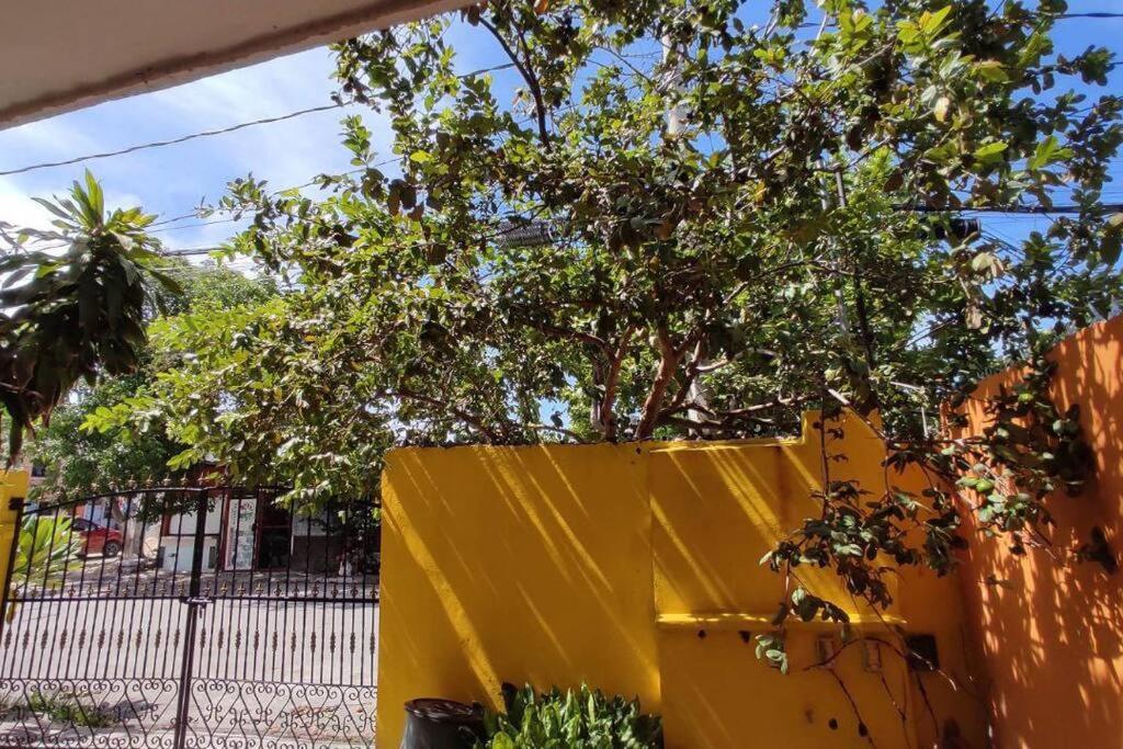 Apartamento Departamento Rosi Cerca De Juzgado Familiar