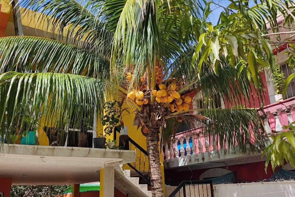 Departamento Rosi Cerca De Juzgado Familiar Apartamento *