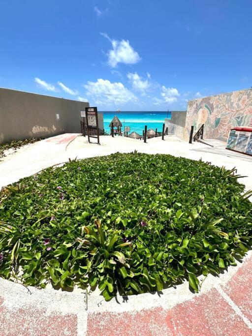 Beachside House In Zone With Bbq And Luxury Amenities *