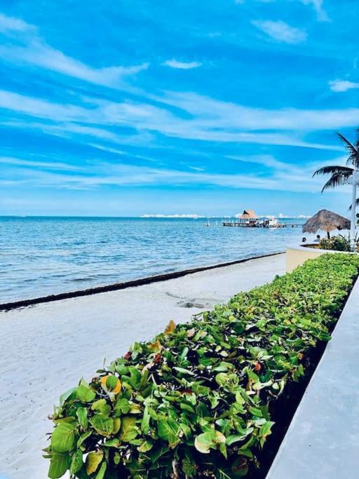 Punta Me Beach Front In The & Waterpark Apartamento Cancún