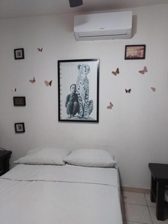 Casa Mariposas Habitación en casa particular