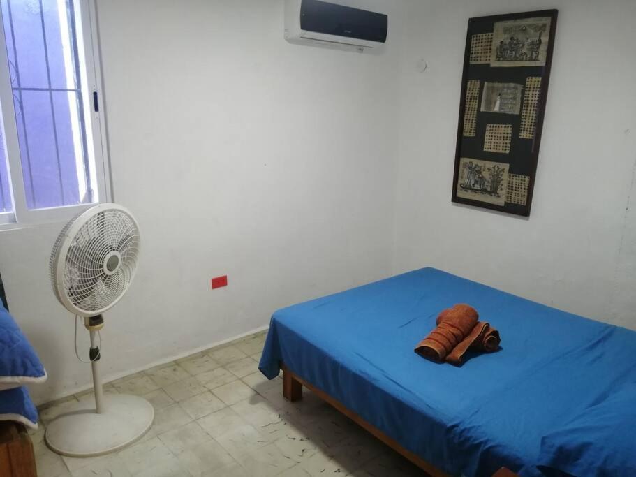 Macondo