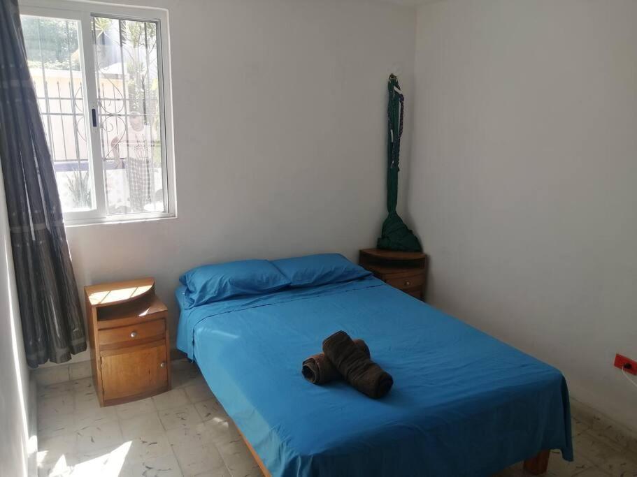 Macondo Cancún