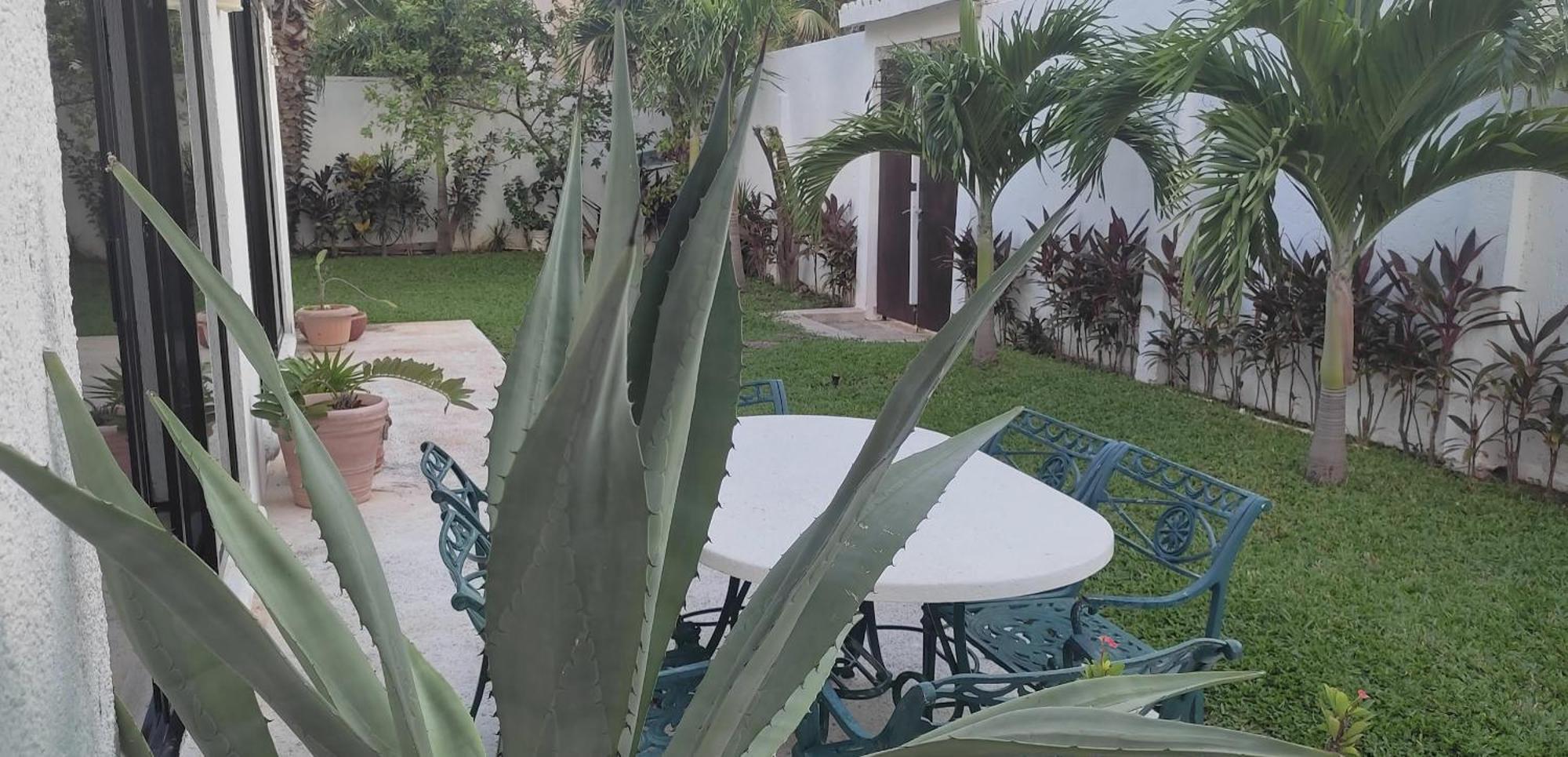 Orquidea Turquesa * Cancún