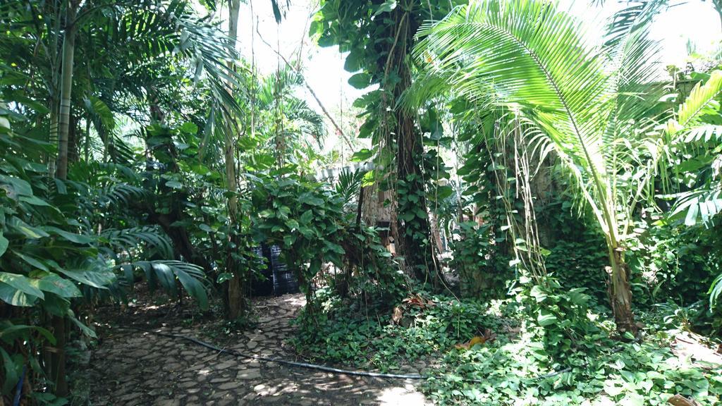 Casa De La Selva A 15 Min Aeropuerto