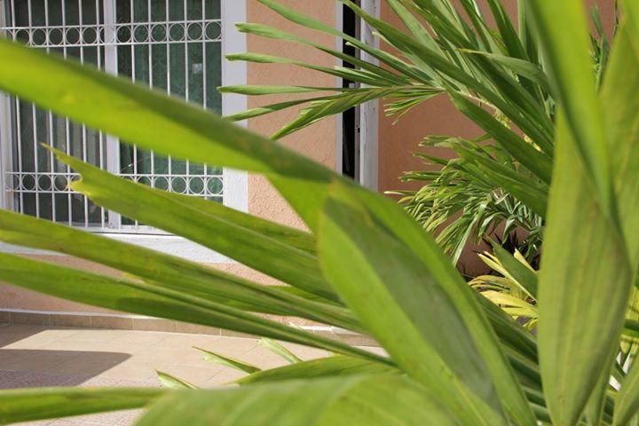 Residencial Gran Santa Fe *