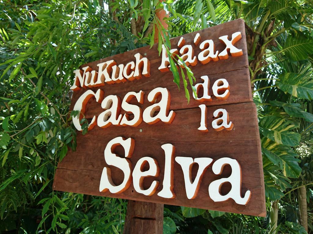 Casa De La Selva A 15 Min Aeropuerto