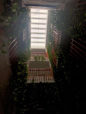 Casa Habitacional Laurel Pensión Cancún