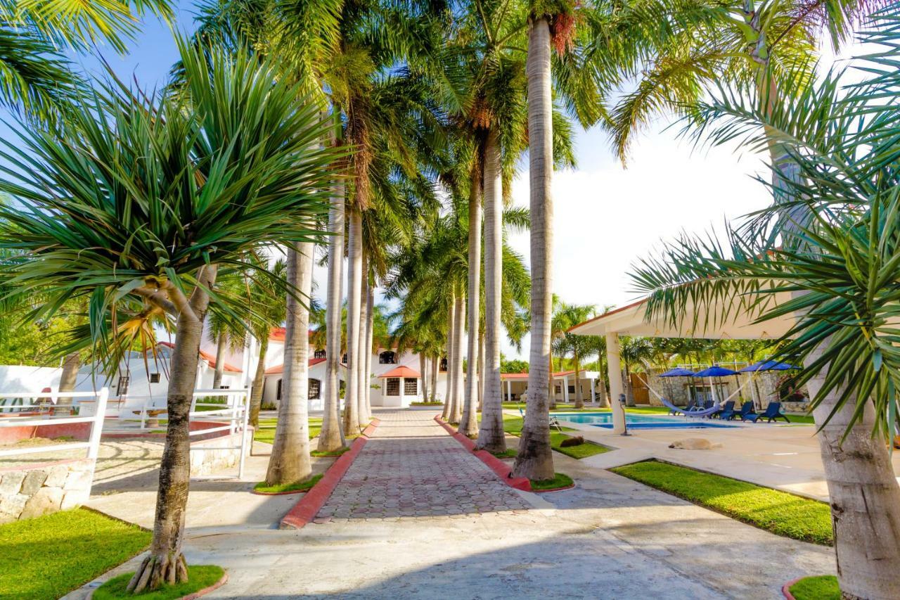 Guest house B&B Quinta Juventina Cancun