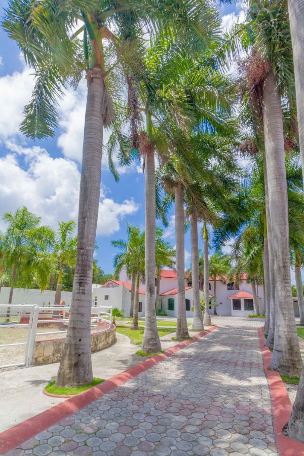 Guest house B&B Quinta Juventina