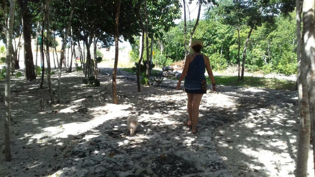 La Casa Del Cactus Сasa de vacaciones *