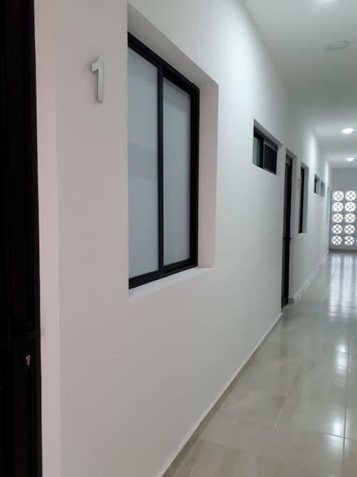 Estudio En Centro