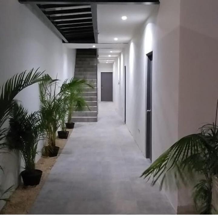 And Art 2* Cancún