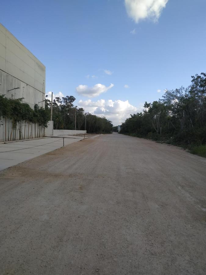 In Alamos Pensión *