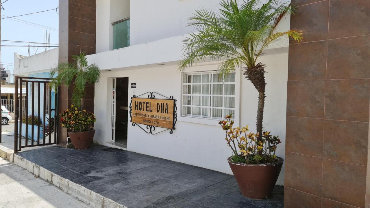 Dna Y Aparthotel