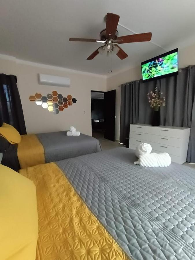 Apartment Nuevo! Casa Sofia Lujoso & Super Centrico