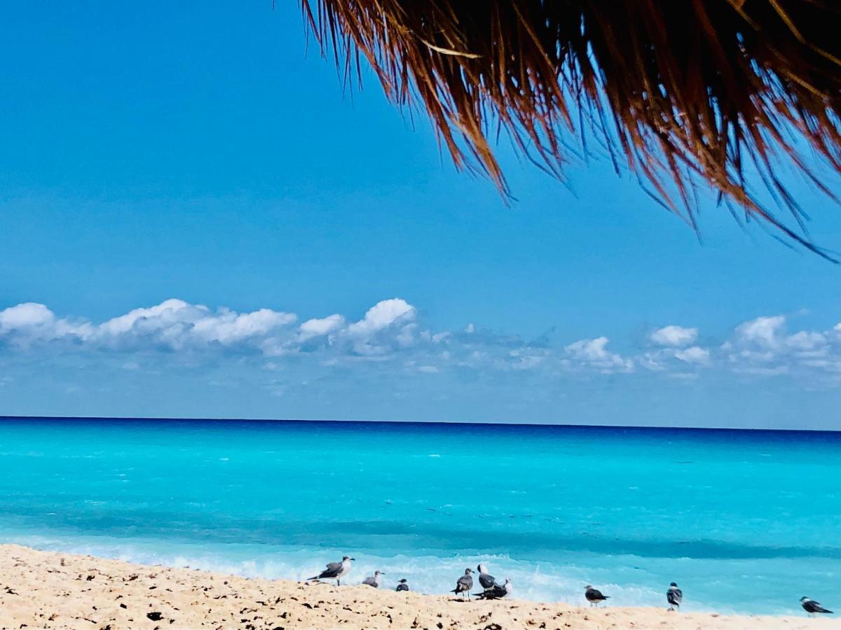 The Of Solymar Aparthotel Cancun