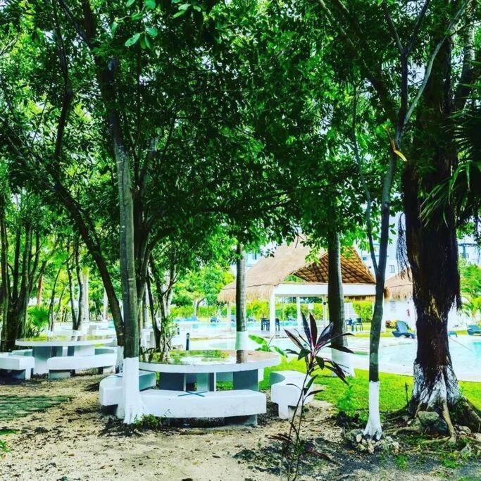 Exclusivo Piscina, Jaccuzi, Céntrico. Apartamento Cancún