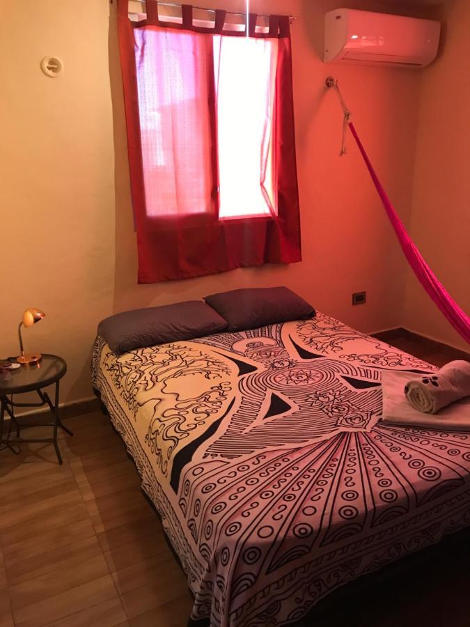 Hostel Venado 28