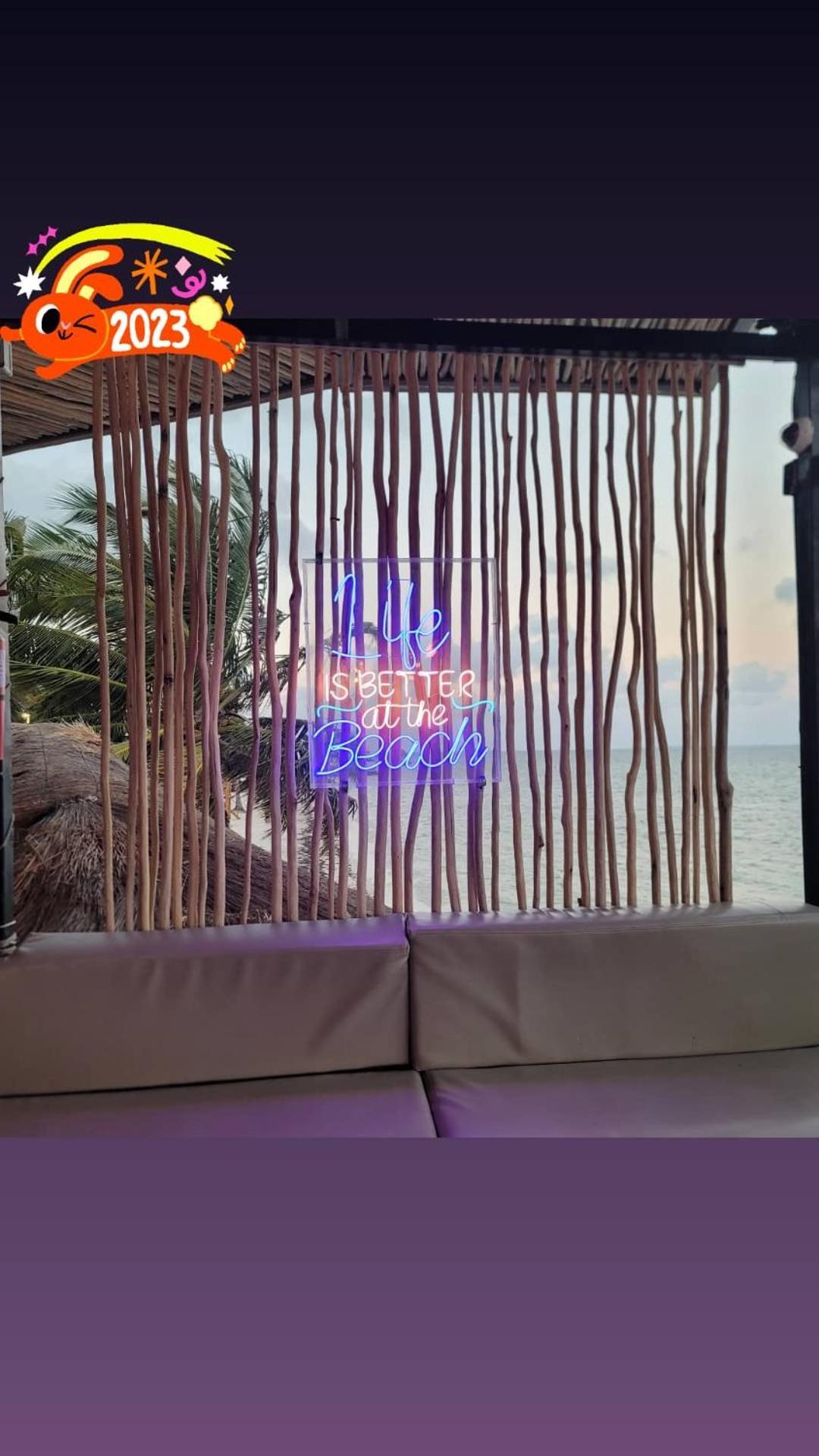 Ocean View Flamingo *