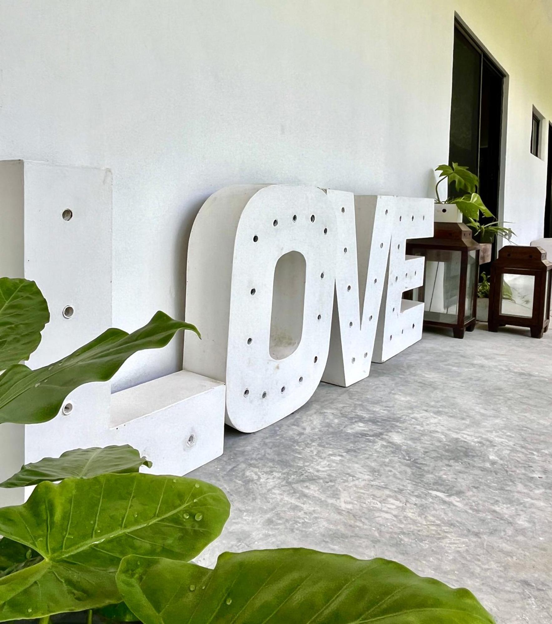 Apartamento Urban Jungle Collection