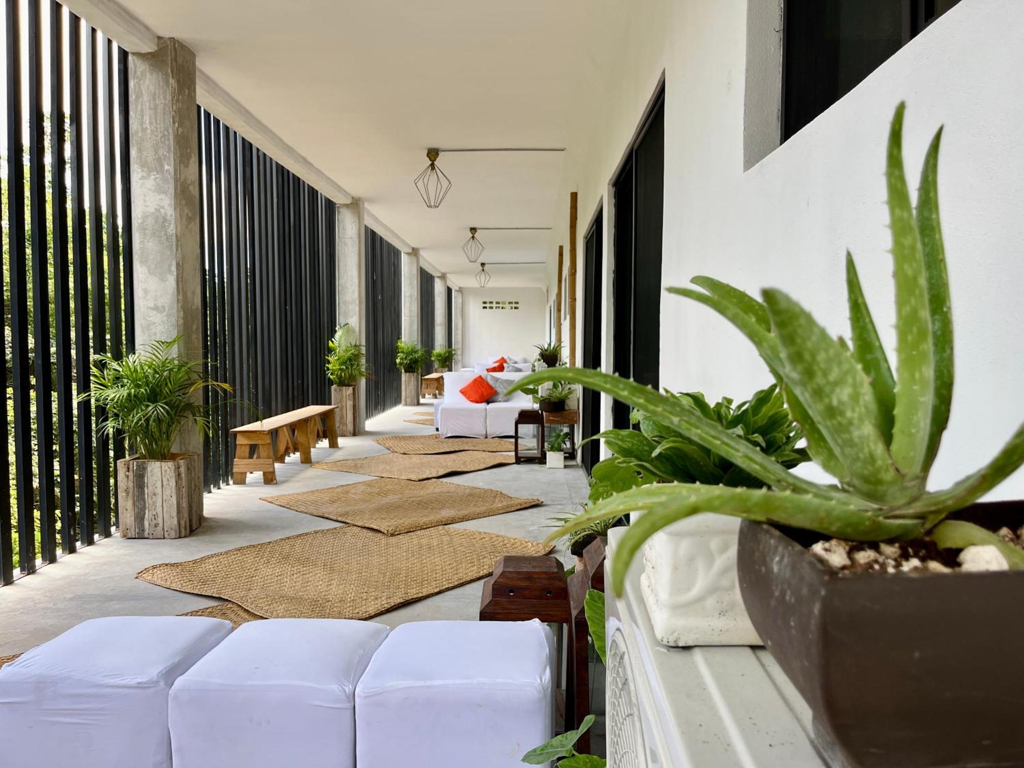 Urban Jungle Collection * Cancún