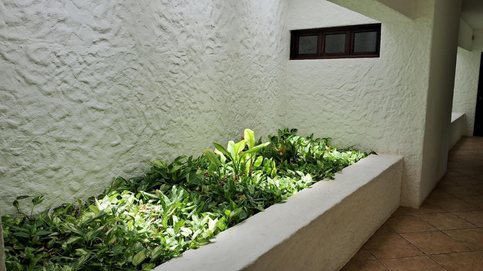 Casa Iola Homestay