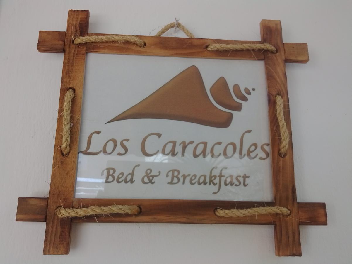 Bed & Breakfast Caracoles 3*