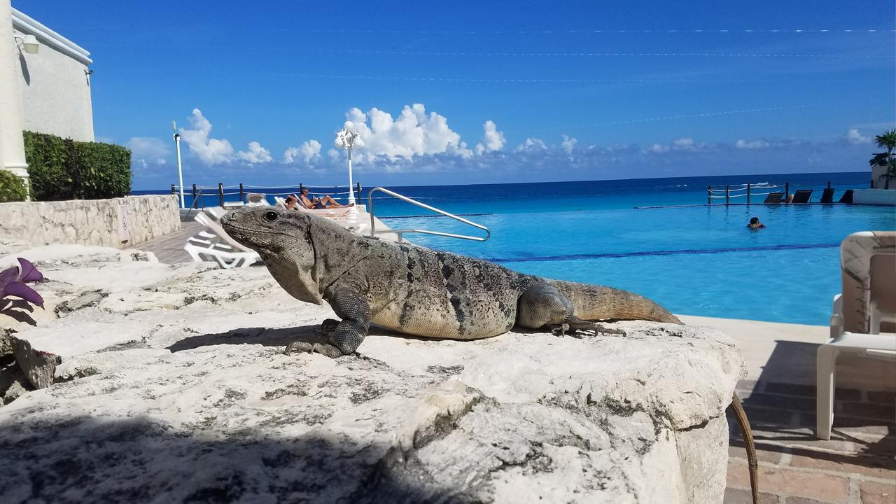 Plaza * Cancún
