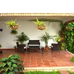 Beautiful Jungle House On A Strategic Location