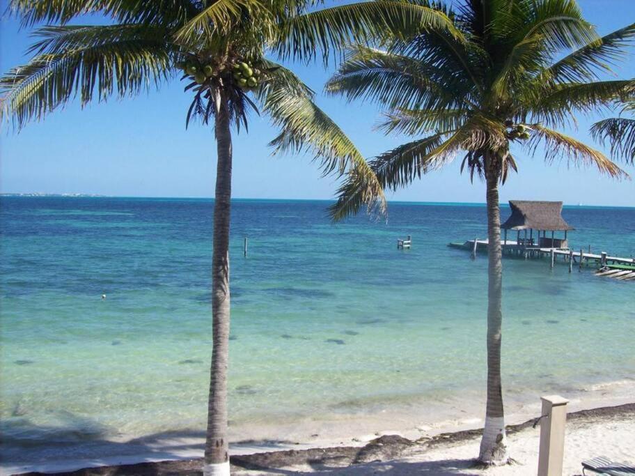 A La Orilla Del Mar Puerto Juarez Apartamento Cancún