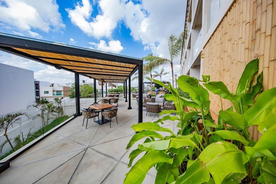 Hive By G Cancún