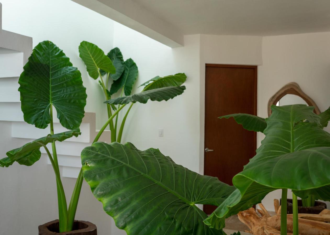 Habitación en casa particular Recámara 2 Nachi Cocom Cancún