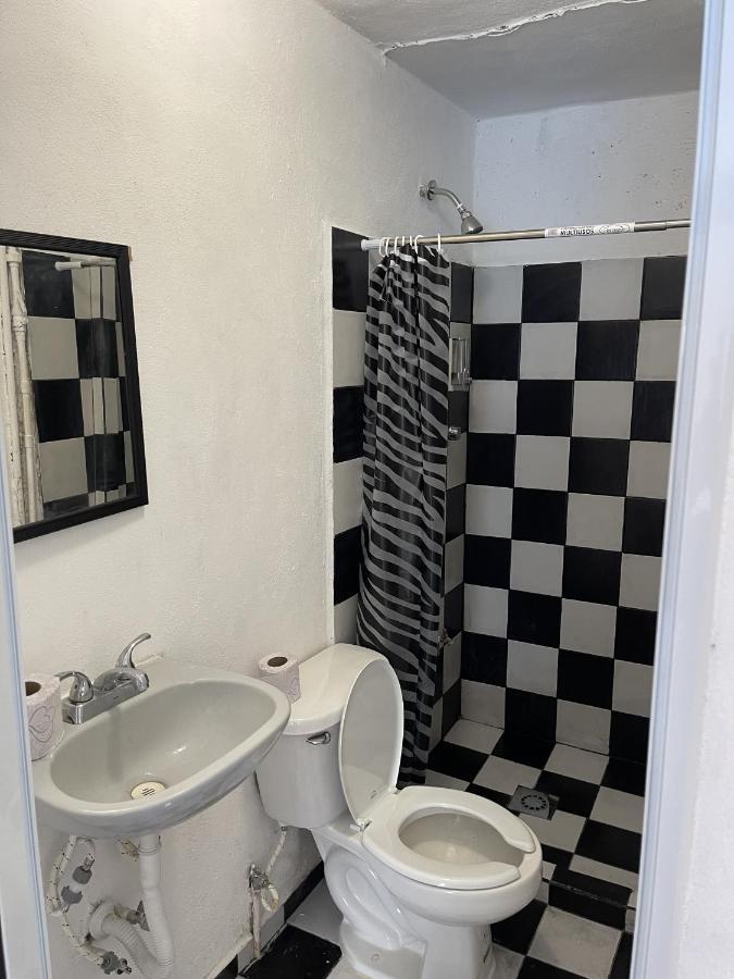 Casa Nova! *