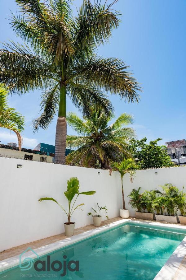 Vica Con Piscina En La Entrada De La Zona Hotelera Pensión *