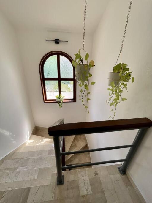Сasa de vacaciones Beautiful Jungle House On A Strategic Location *