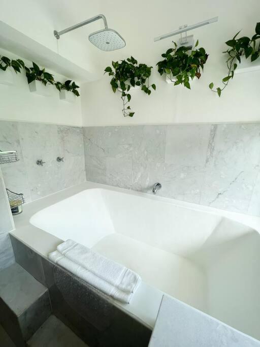Beautiful Jungle House On A Strategic Location Сasa de vacaciones Cancún