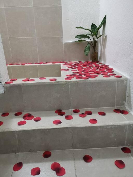 Centric Close To Ado Apartamento