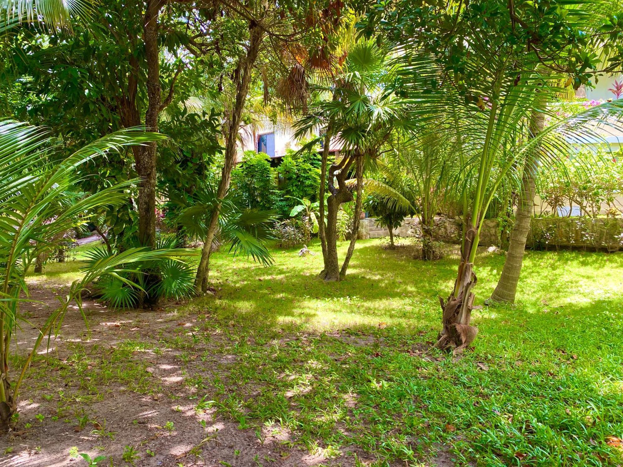 Apartamento Tropical By Andiani