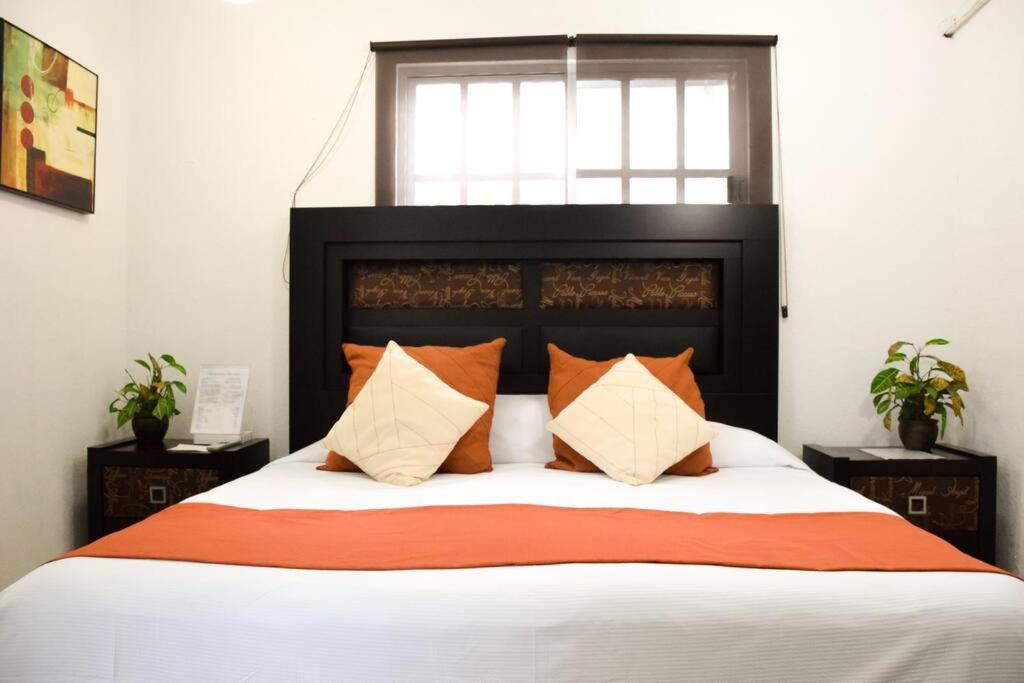 Cozy With Private Pool, Garden & Palapa Villa