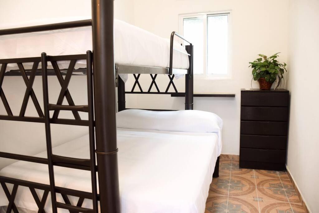 Cozy With Private Pool, Garden & Palapa Villa Cancún