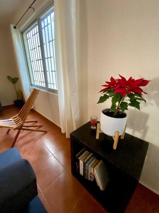 Apartment Peach35 Centrico, 5 Min De La Playa *