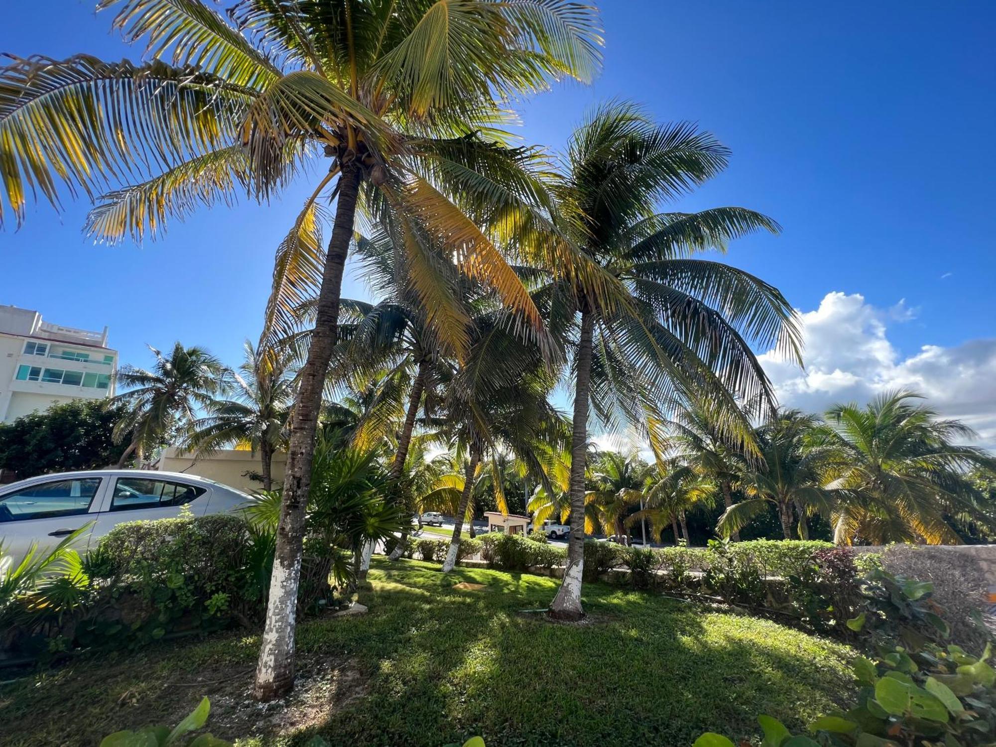 Solymar Studio Apt Beachfront With Sunset Views Cancún