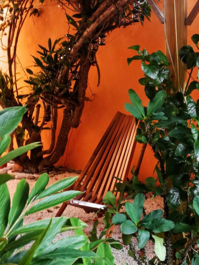 Casa Loritos Сasa de vacaciones