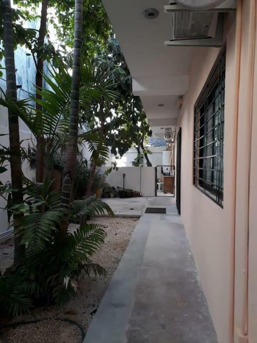 Apartamento Estudio Nuevo En Centro